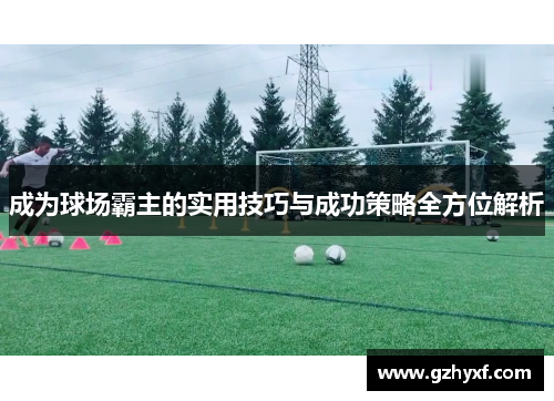 成为球场霸主的实用技巧与成功策略全方位解析