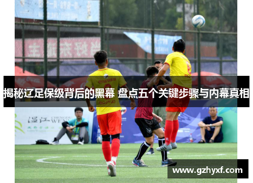 揭秘辽足保级背后的黑幕 盘点五个关键步骤与内幕真相