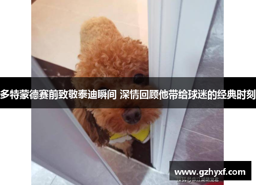 多特蒙德赛前致敬泰迪瞬间 深情回顾他带给球迷的经典时刻