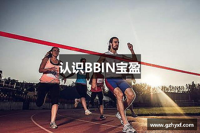 认识BBIN宝盈